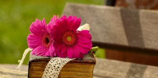 30 uttalelser om Guds ord fra personer i Bibelhistorien